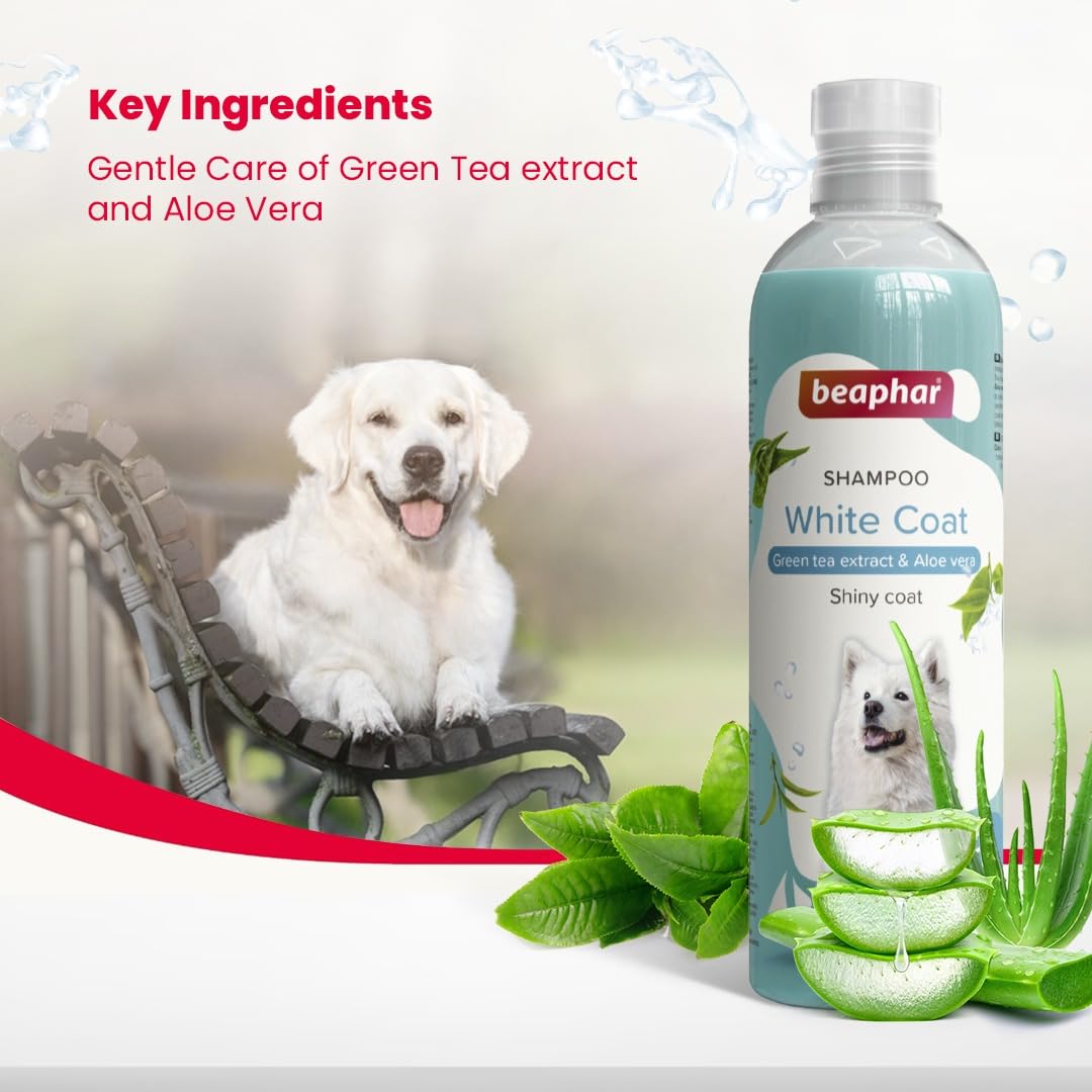 Gentle shampoo for dogs with white fur
