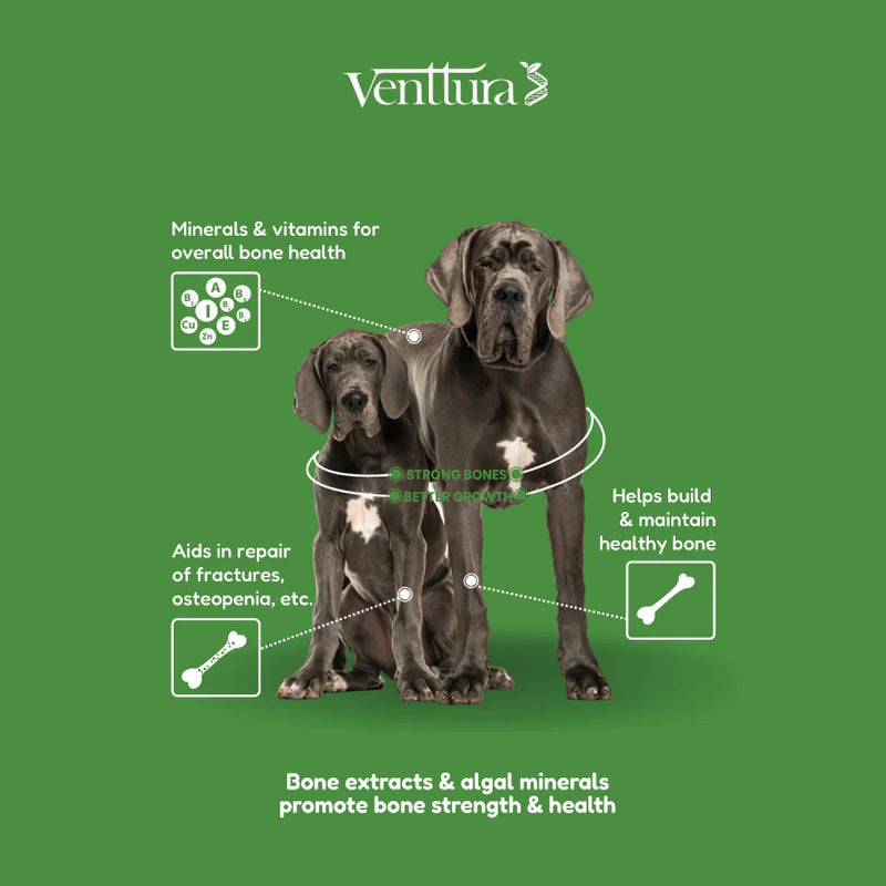 Venttura Calci Pro Plus Calcium Supplement for Dogs – Chewable Bone & Joint Health Supplement