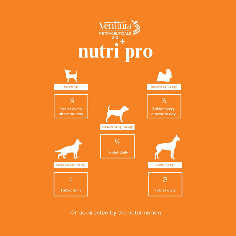 Venttura Nutri Plus Pro Multi-Vitamin Chewable Supplement for Dogs – Supports Overall Health, Energy & Vitality