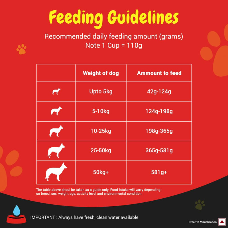 Healthy Coat Dog Food
