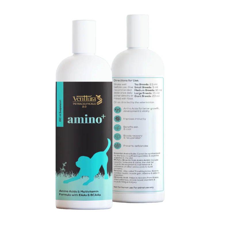 Venttura Amino Plus Syrup for Dogs – Supports Muscle Health & Recovery