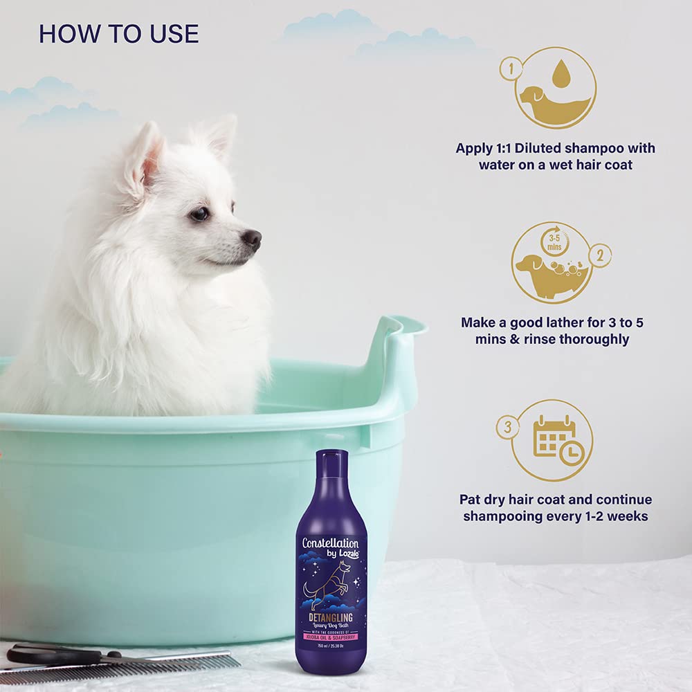 Constellation Dog Detangling Shampoo