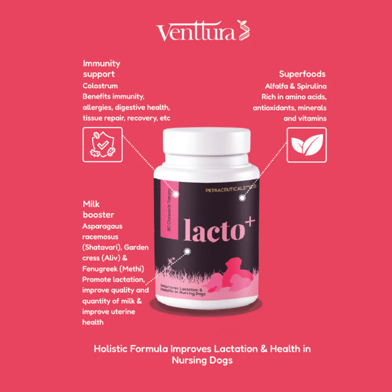 Venttura LactoPlus Milk – Probiotic-Enriched Milk for Everyday Enjoyment