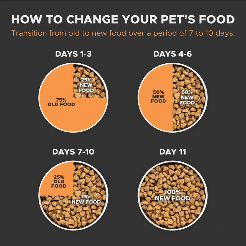 Fresh protein-rich dog food formula
