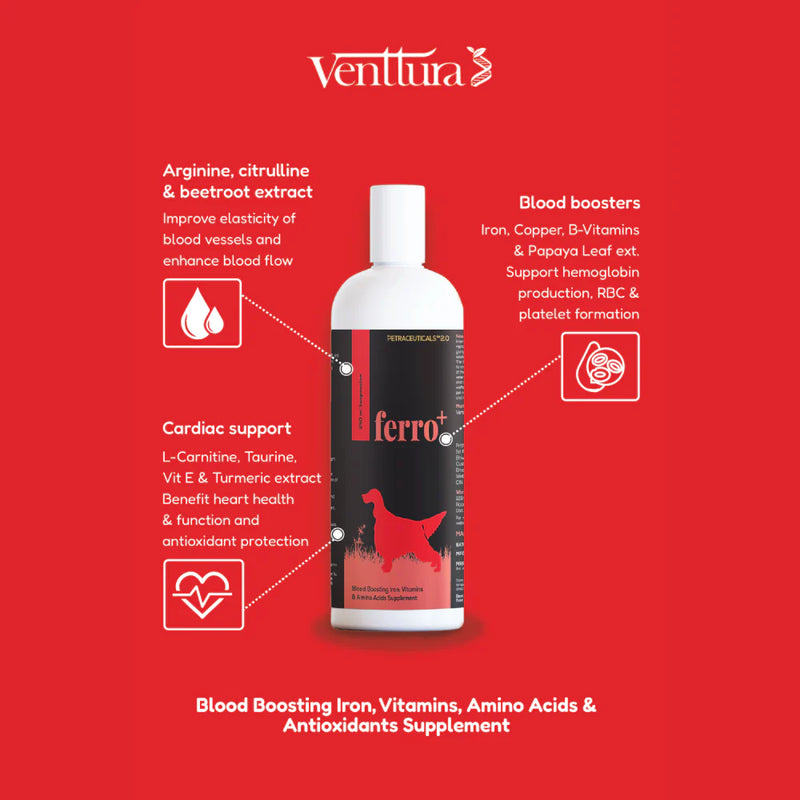 Venttura Ferro Plus Iron Supplement Syrup for Dogs – Supports Healthy Red Blood Cells & Energy Levels