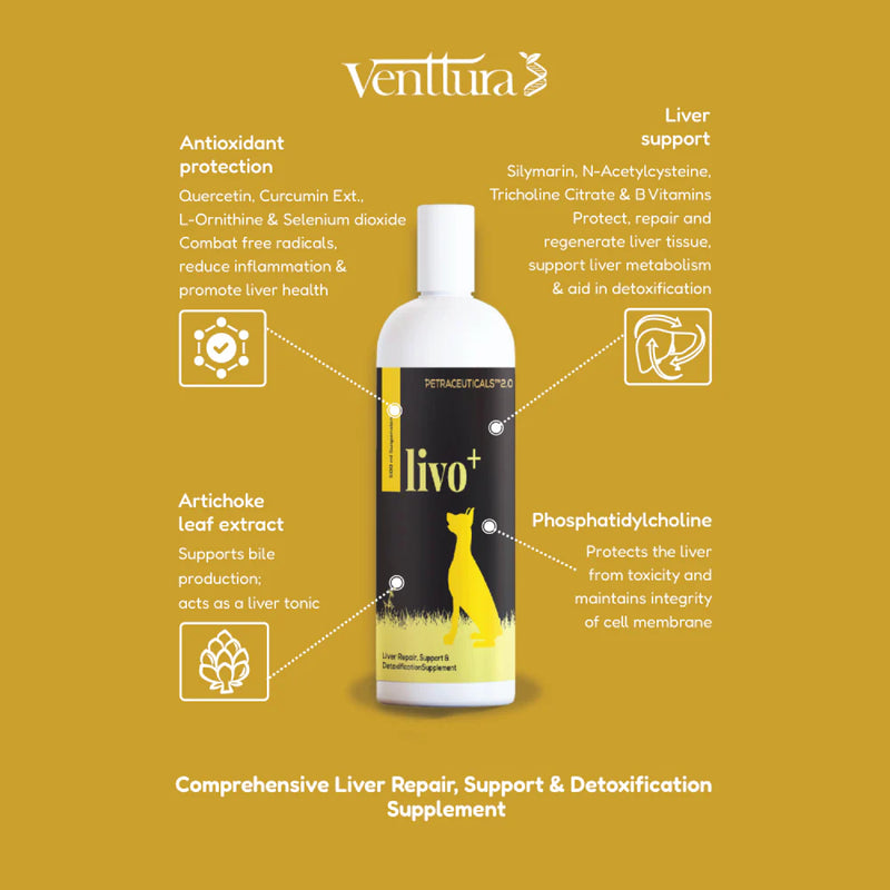 Venttura Livo Plus Liver Supplement Syrup for Dogs