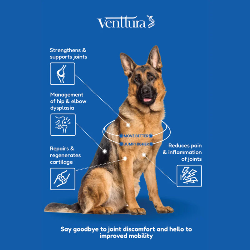 Venttura Flexi Plus Hip & Joint Chewable Supplement for Dogs – Supports Joint Health & Mobility