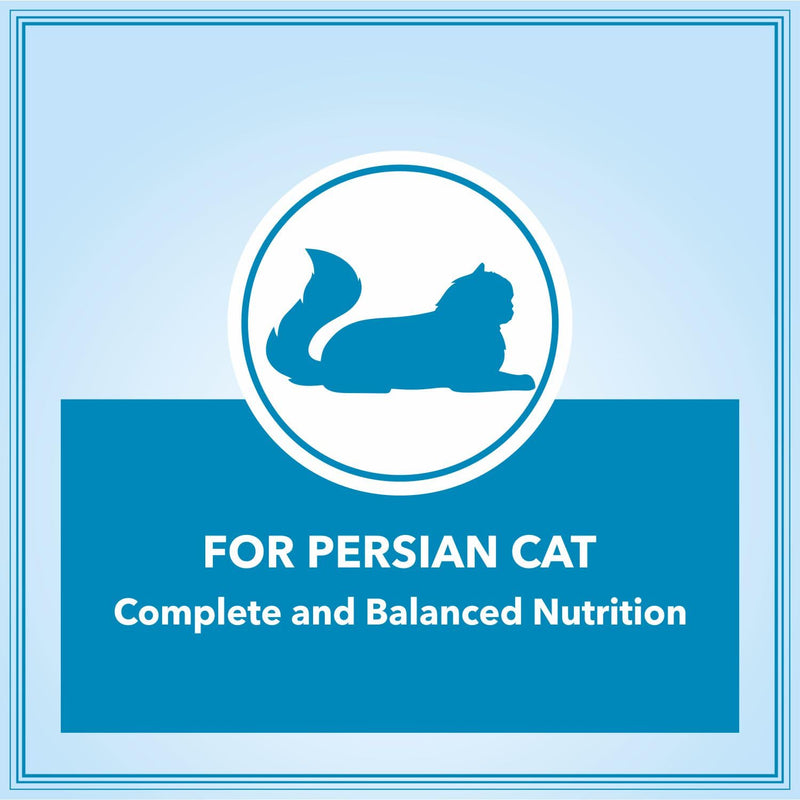 Healthy coat Persian cat food
