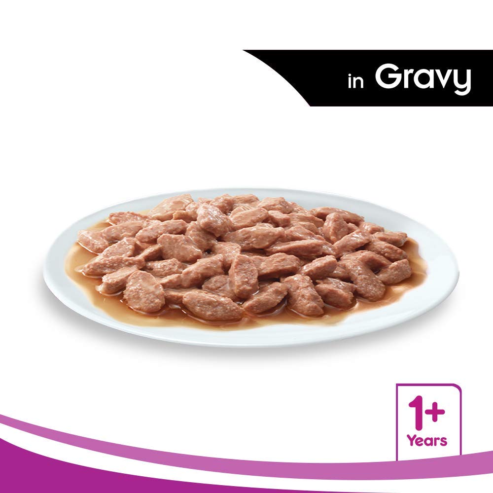 Chicken in gravy food for cats
