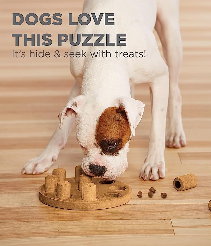 Outward Hound Nina Ottosson Dog Smart Tan Composite Interactive Treat Puzzle Dog Toy