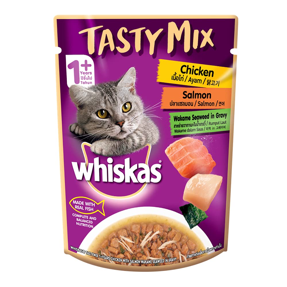 Healthy Wet Food for Cats
