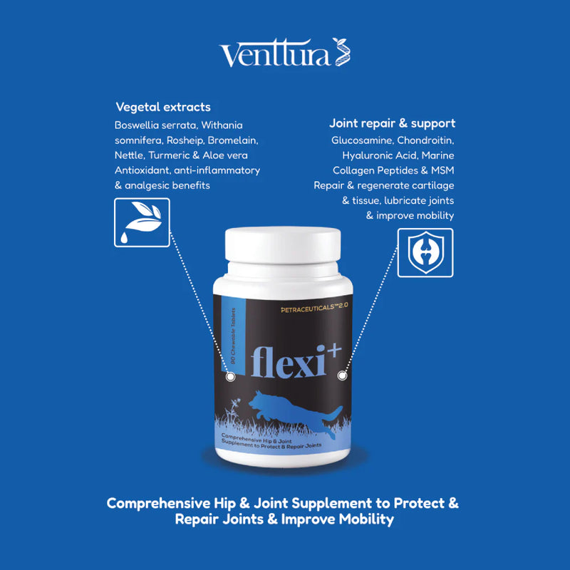 Venttura Flexi Plus Hip & Joint Chewable Supplement for Dogs – Supports Joint Health & Mobility