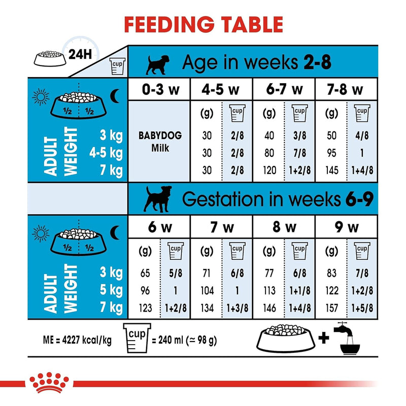 Balanced Nutrition for Small Dogs
