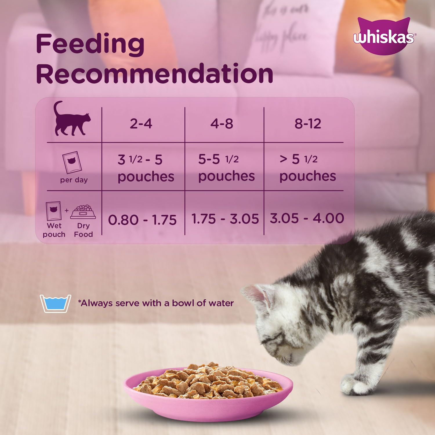 Premium wet food for kittens
