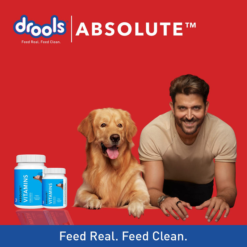 Liquid vitamin supplement for dogs
