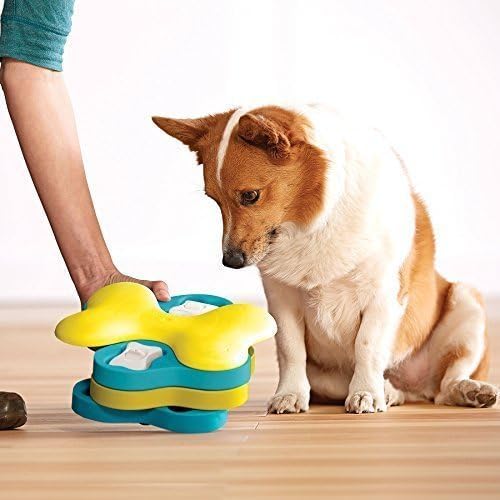 Outward Hound Nina Ottosson Dog Tornado Interactive Treat Puzzle Dog Toy