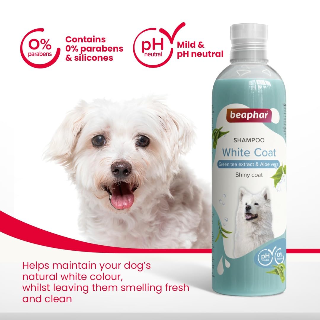 Whitening shampoo for dogs
