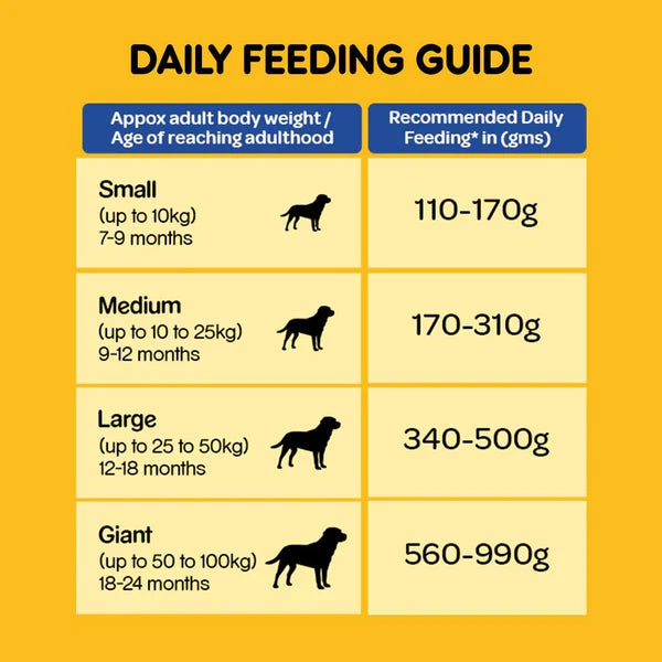 Pedigree 3 kg dry food pack