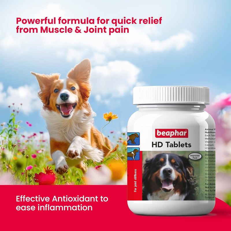 Dog Joint Pain Relief by Beaphar HD
