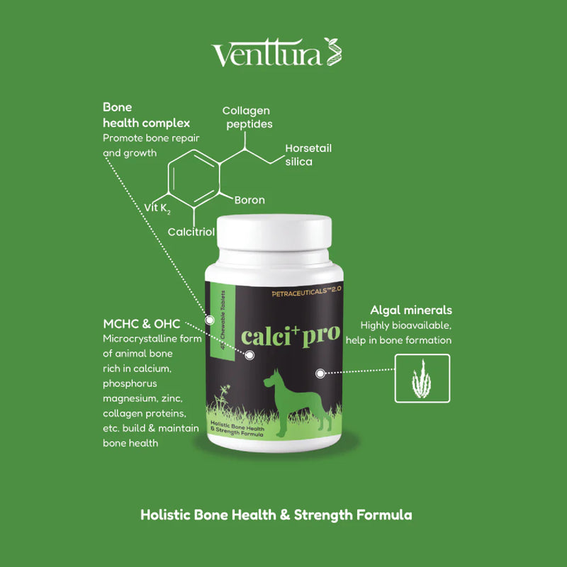 Venttura Calci Pro Plus Calcium Supplement for Dogs – Chewable Bone & Joint Health Supplement