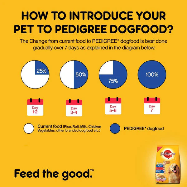 Healthy dry food for dogs