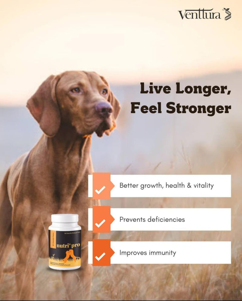 Venttura Nutri Plus Pro Multi-Vitamin Chewable Supplement for Dogs – Supports Overall Health, Energy & Vitality