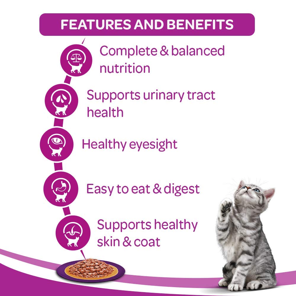 Tasty chicken food for adult cats
