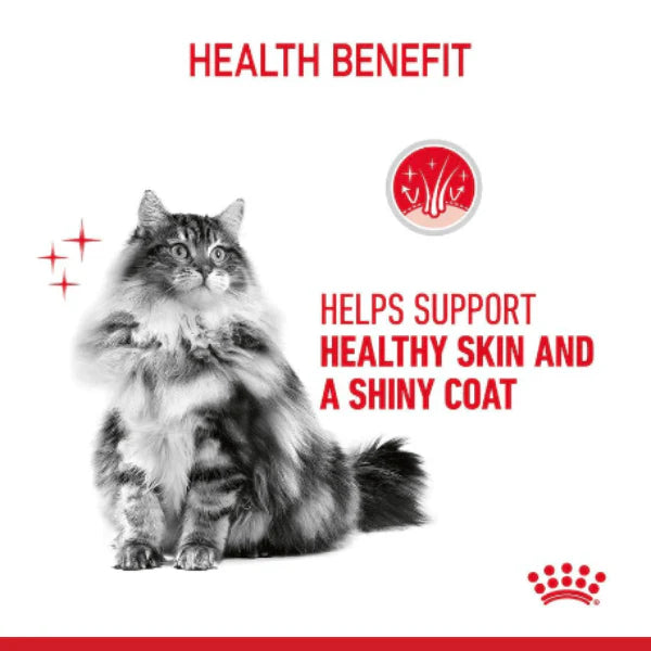 Royal Canin Hair And Skin Care Wet Cat Food Gravy,