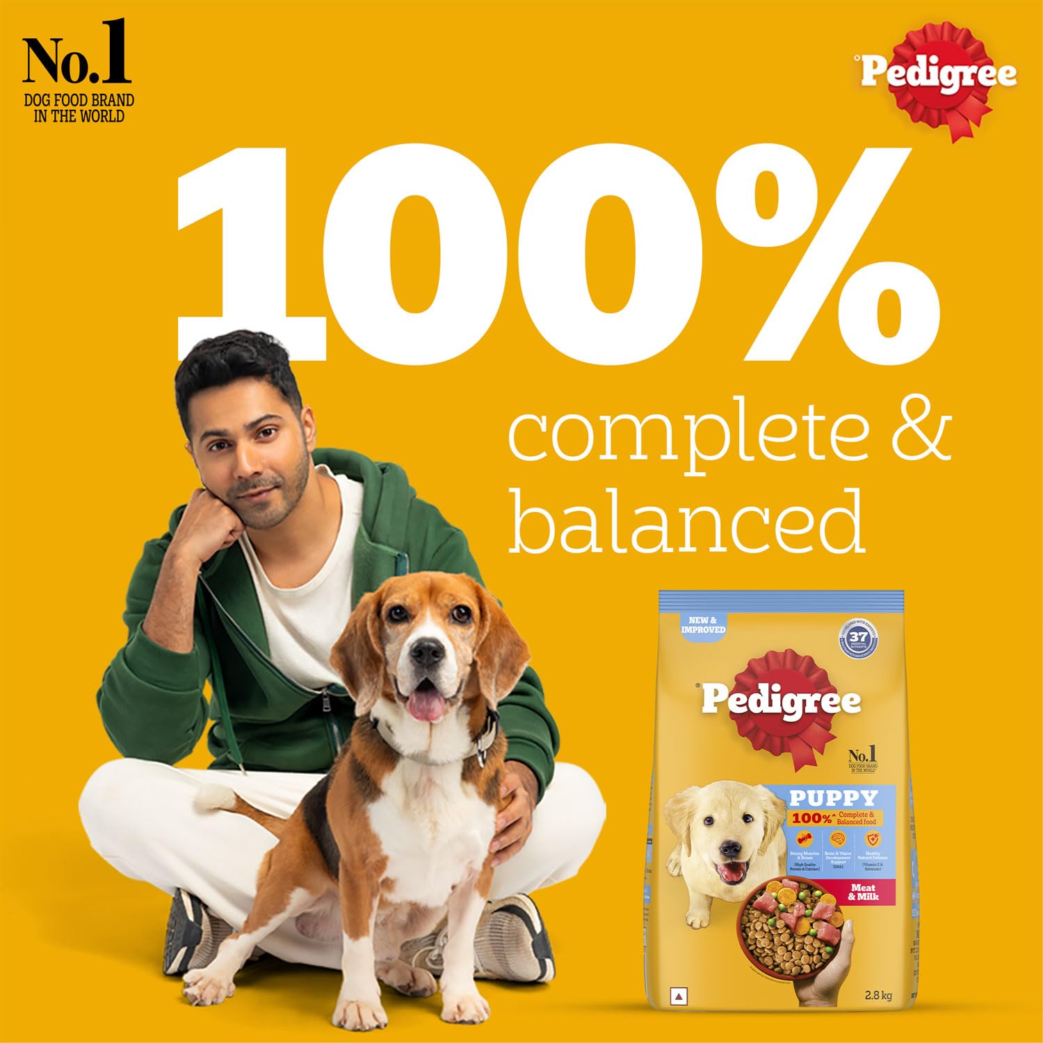 Pedigree Dry Food for Puppies