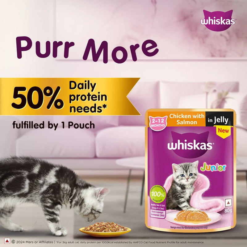 Whiskas Kitten Wet Cat Food Salmon in Gravy (Newly Launched)