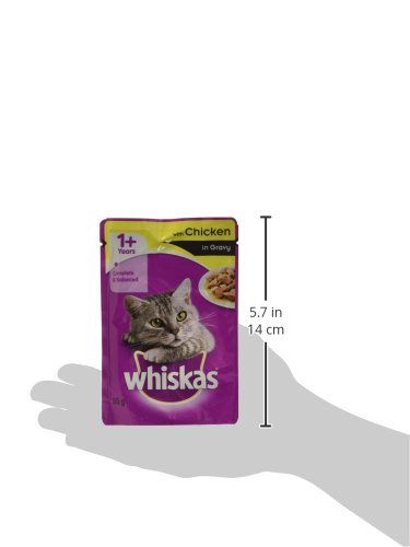 Whiskas chicken flavor wet food
