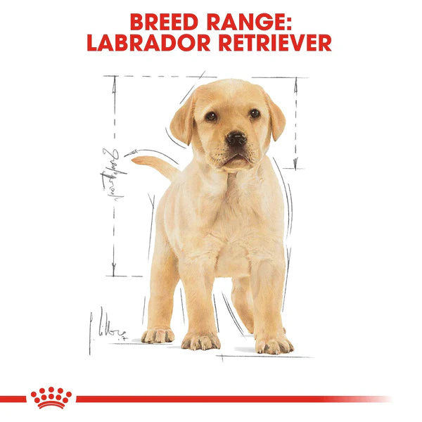 Royal Canin Labrador Retriever Puppy Dry Dog Food,  12kg