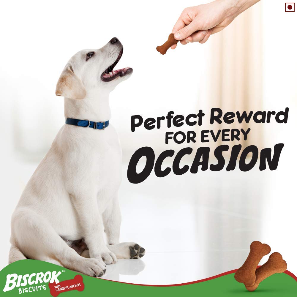 Healthy dog treat from Pedigree