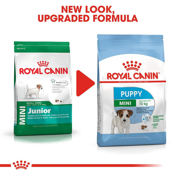 Puppy Food for Healthy Immune System
