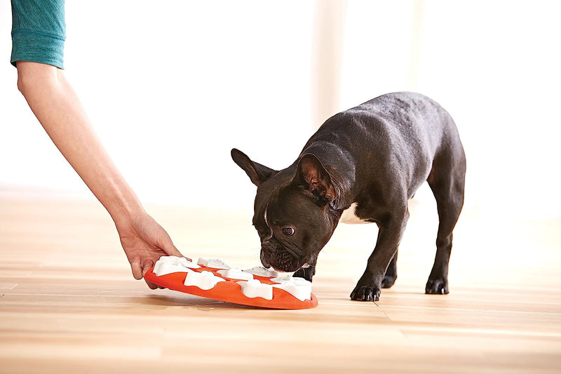 Outward Hound Nina Ottosson Dog Smart Orange Interactive Treat Puzzle Dog Toy