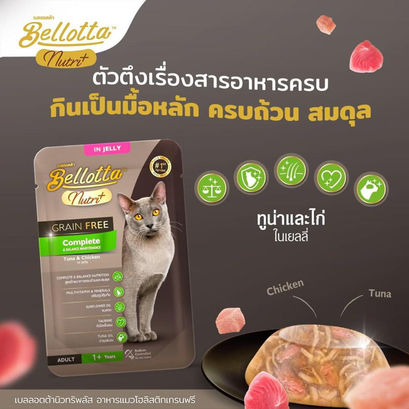 Dietary food without grains for older felines.