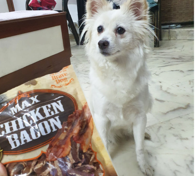 Soft & chewy BBQ chicken treats for puppies
