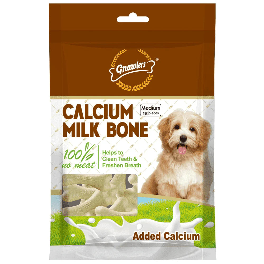 Dog chewing calcium milk bone treat
