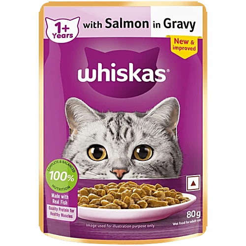 Wet food with real salmon for adult cats
