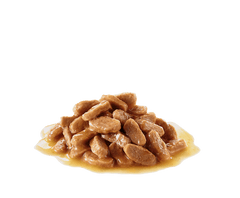 Tasty dog food for puppies
