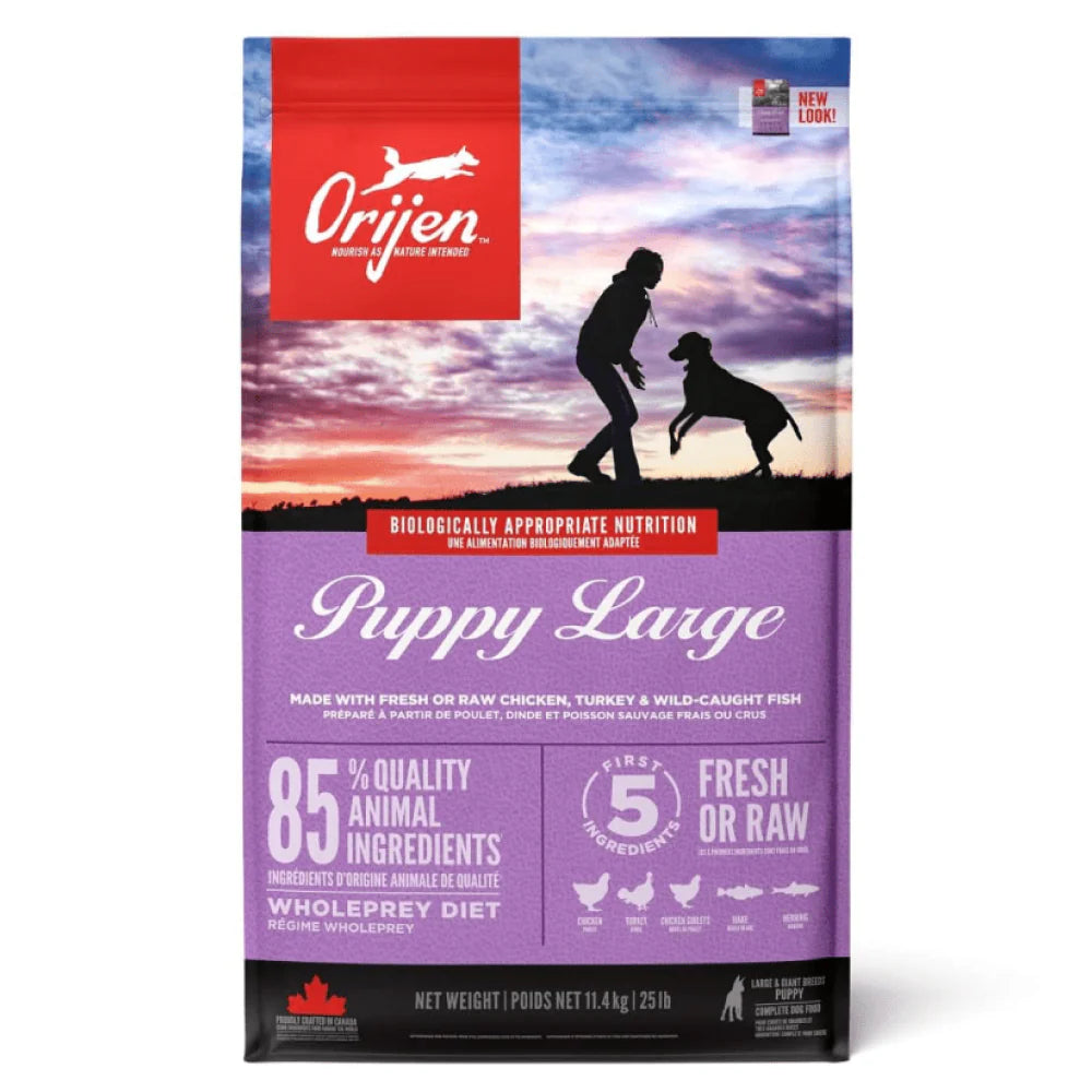 High-protein dog food for large puppies
