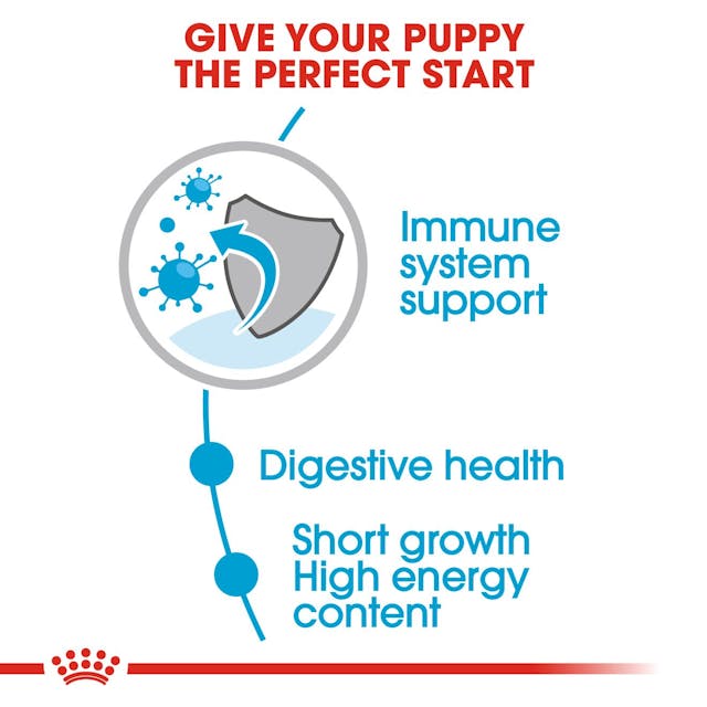 Digestible puppy food
