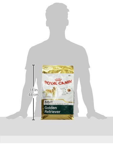 Nutrient-rich dog food for shiny coat
