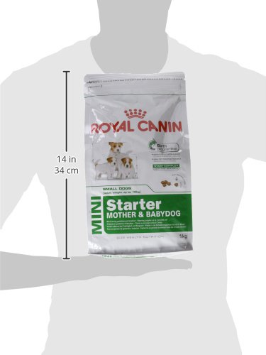 Royal Canin Mini Starter Mother & Babydog Dry Dog Food