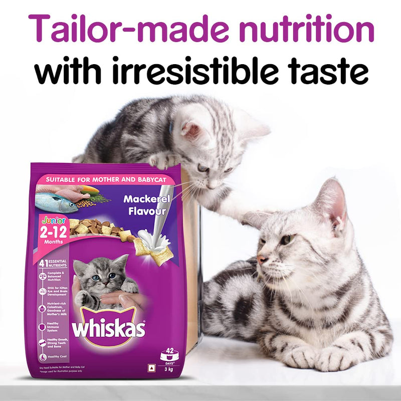 WHISKAS  Kitten Dry Food, Mackerel