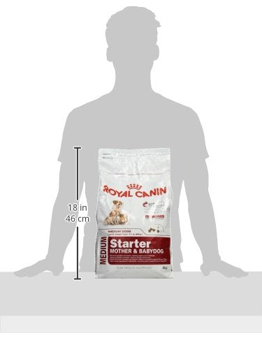 Royal Canin Starter Medium Breed Mother & Babydog Dry Dog Food