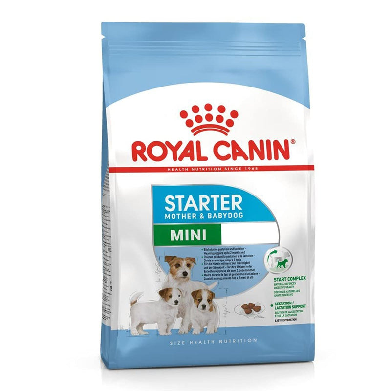 Royal Canin Mini Starter Mother & Babydog Dry Dog Food