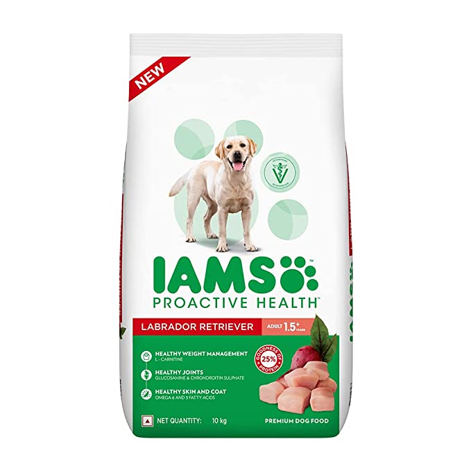 Iams Adult Labrador