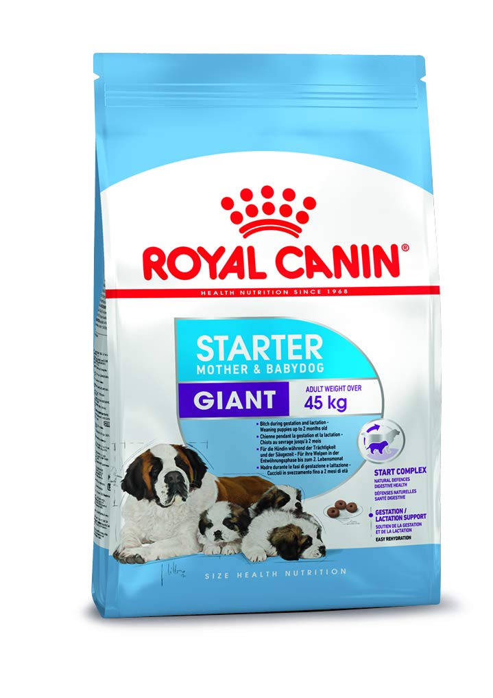 Royal Canin Starter Giant Mother and Babydog Dry Dog Food