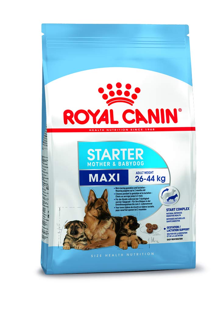 Royal Canin Maxi Starter Mother & Babydog Dry Dog Food